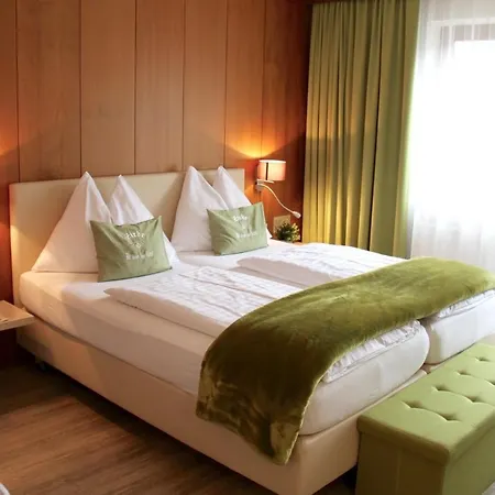 Montana Hotel 3*